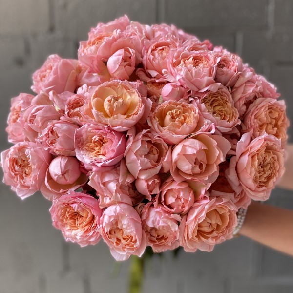 Кустовая роза Джульетта