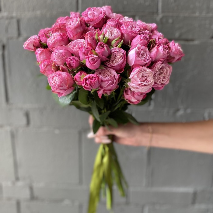 Кустовая роза Леди Бомбастик