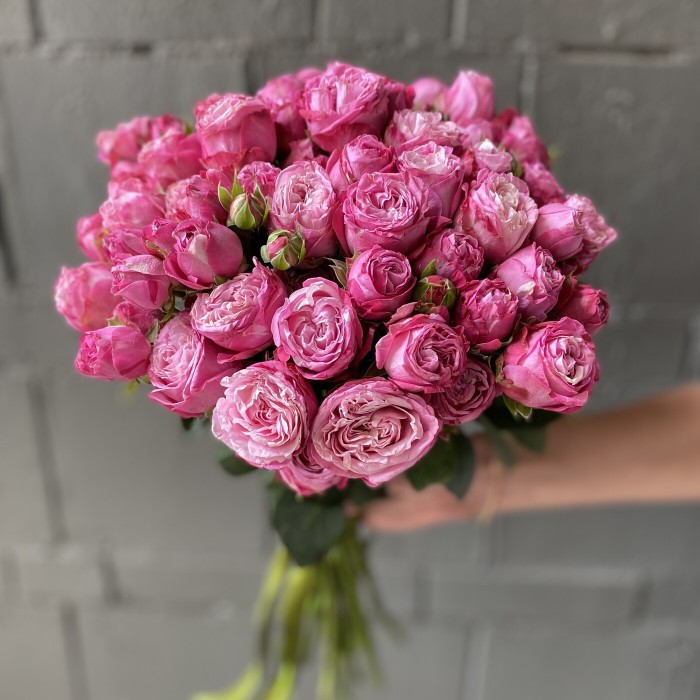 Кустовая роза Леди Бомбастик