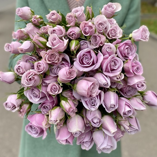 Кустовая роза Сильвер Шедоу 40 см