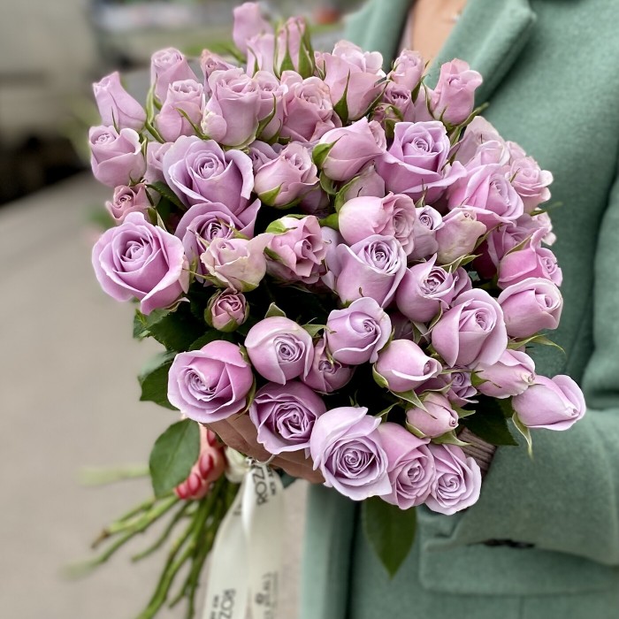 Кустовая роза Сильвер Шедоу 50 см