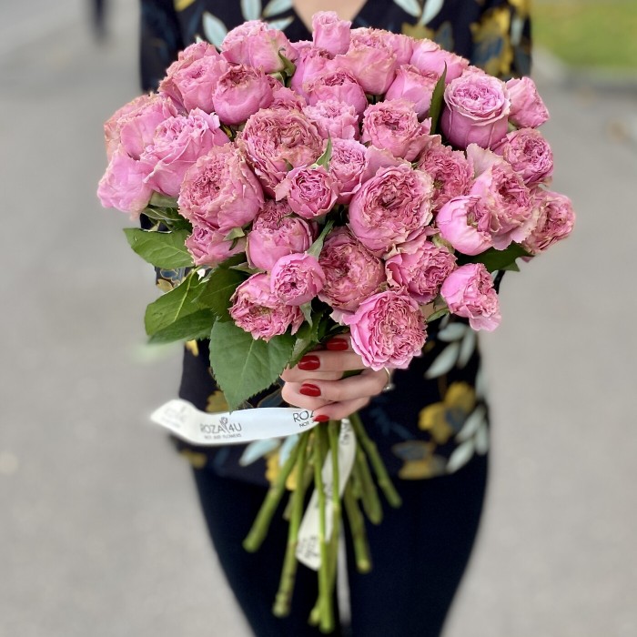 Кустовая роза Вайлд Моментс