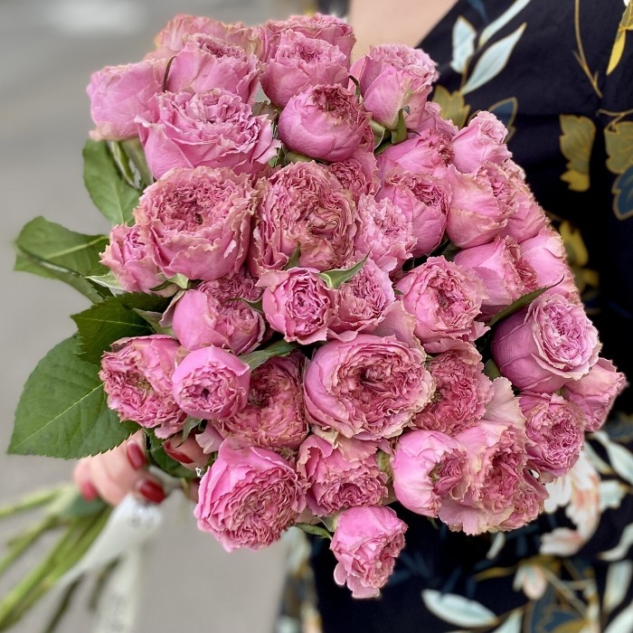 Кустовая роза Вайлд Моментс