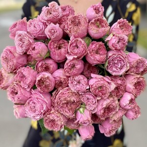 Кустовая роза Вайлд Моментс