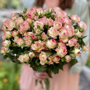 Кустовая роза Стрит Пати