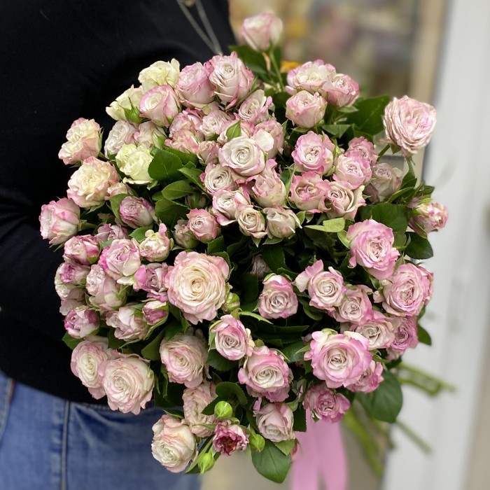Кустовая пионовидная роза Энджел Бомбастик бело-розовая
