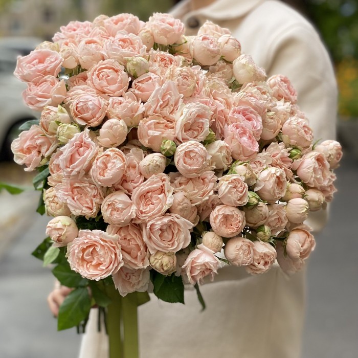 Кустовая пионовидная роза Леди рассвета