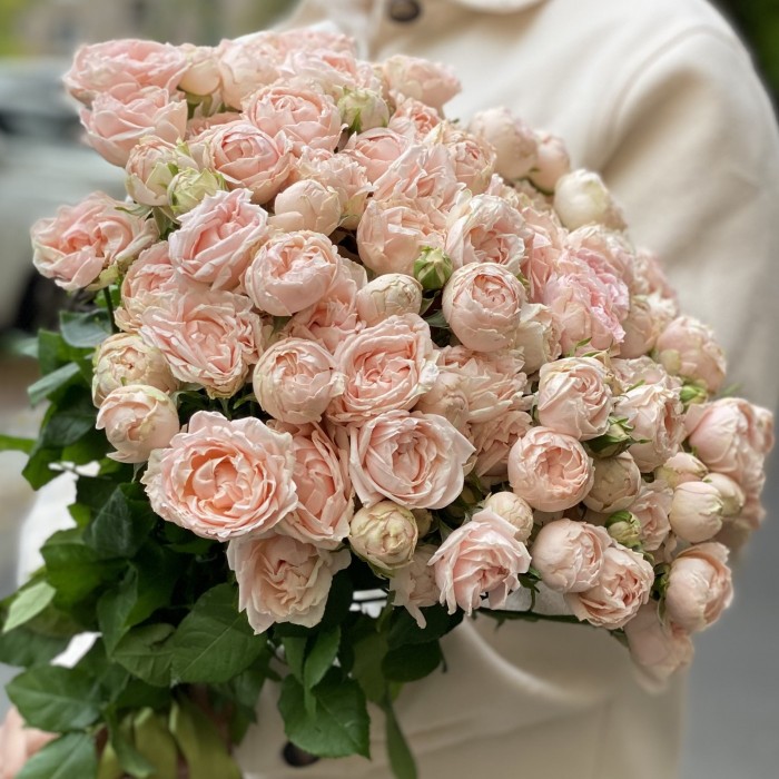 Кустовая пионовидная роза Леди рассвета