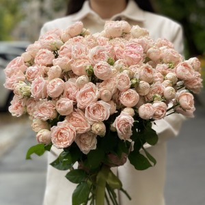 Кустовая пионовидная роза Леди рассвета