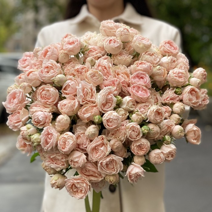 Кустовая пионовидная роза Леди рассвета