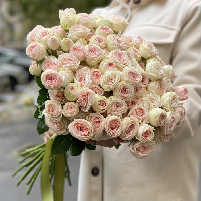 Кустовая пионовидная роза Свит джелато