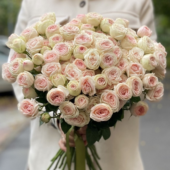 Кустовая пионовидная роза Свит джелато