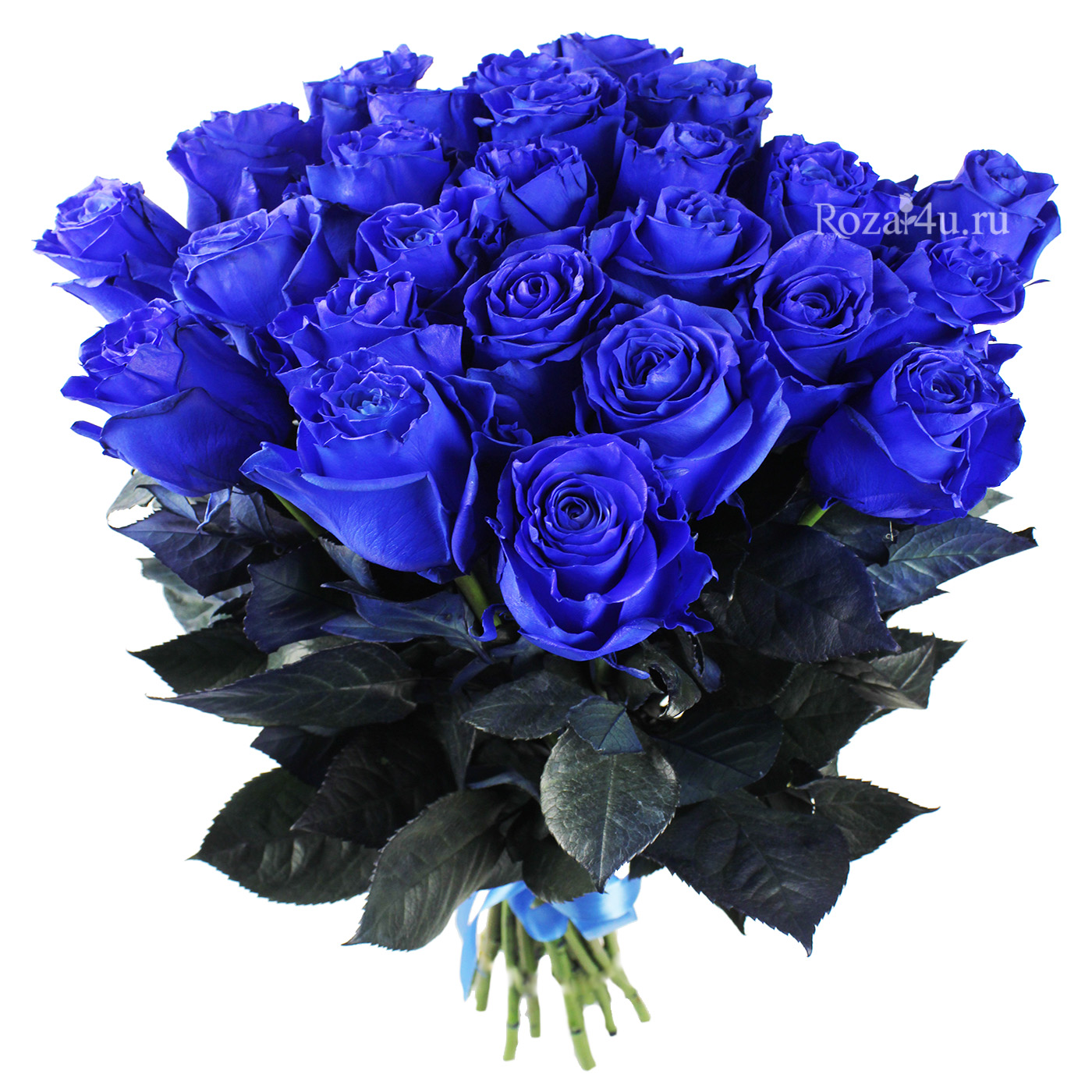 Букет из синих роз купить в москве купить магазин цветов в брянске