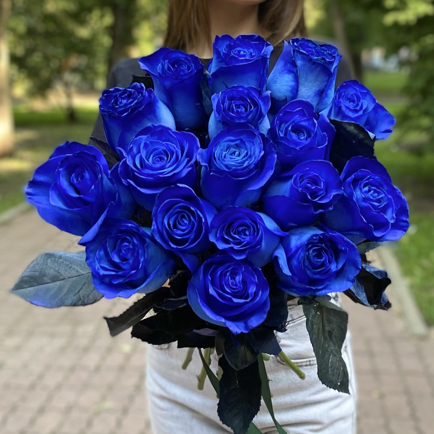 голубые розы картинки