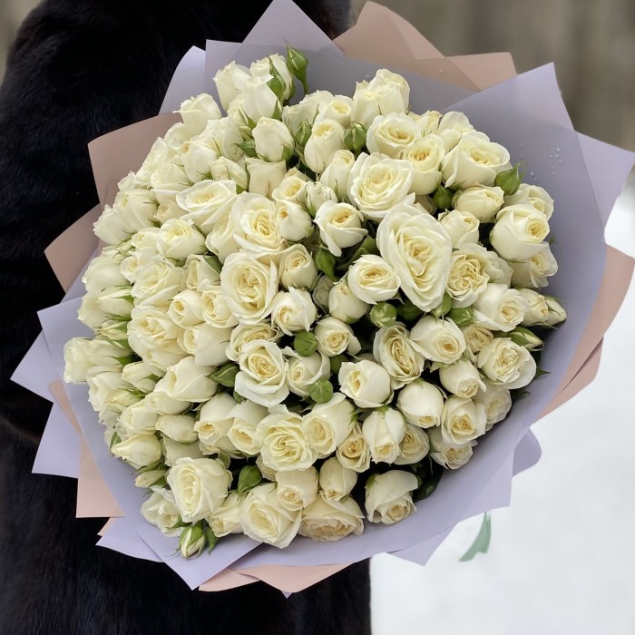 51 белая кустовая роза Сноу Бабл 40см