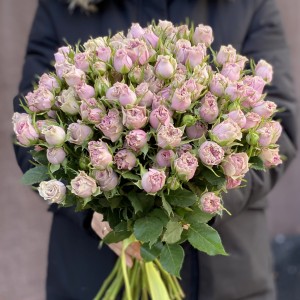 Кустовая роза Мейнтауэр