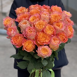 Роза Фри Спирит 50 см