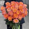 Роза Фри Спирит 50 см