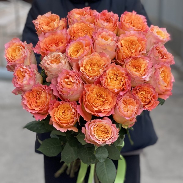 Роза Фри Спирит 60 см