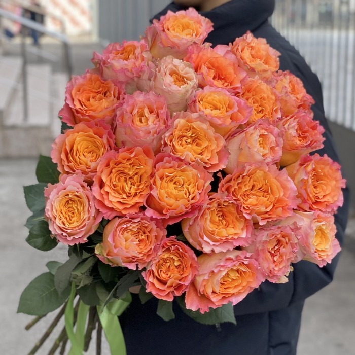 Роза Фри Спирит 50 см