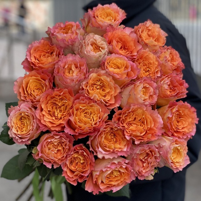 Роза Фри Спирит 50 см