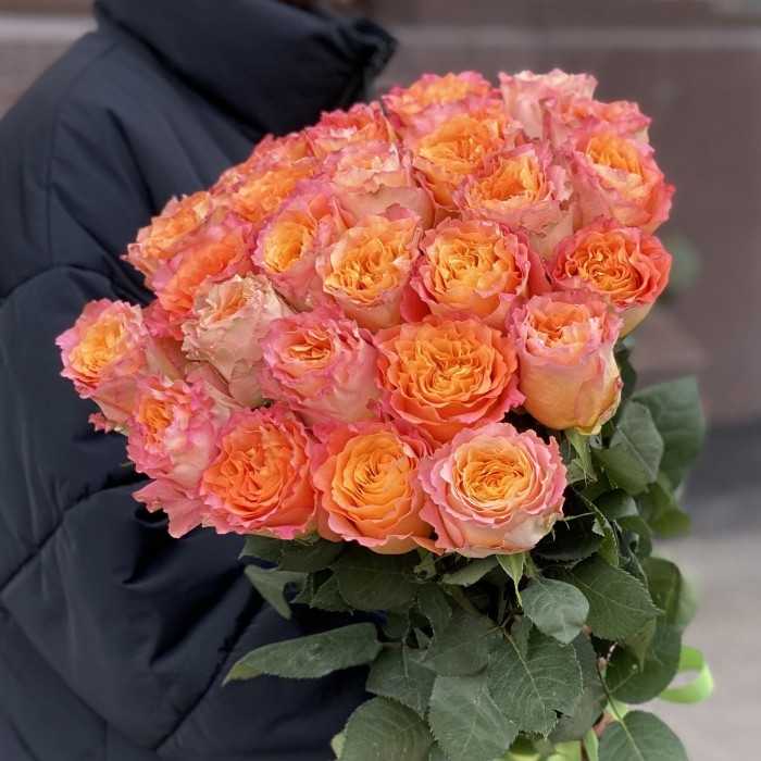 Роза Фри Спирит 50 см