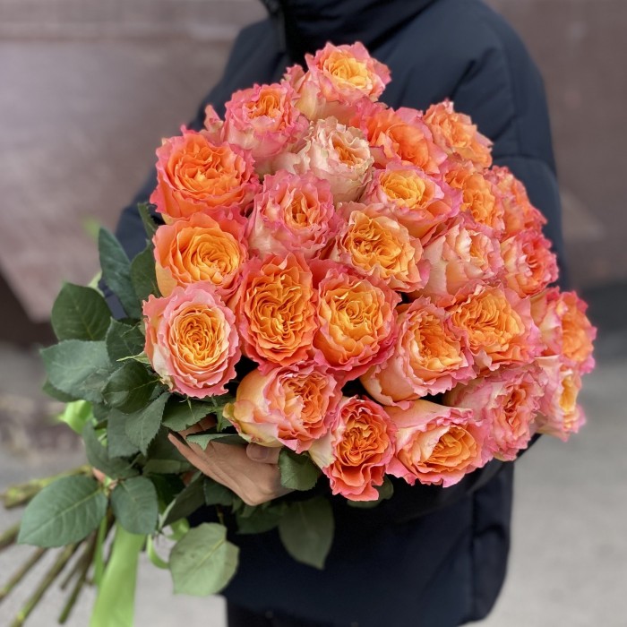 Роза Фри Спирит 50 см