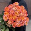 Роза Фри Спирит 50 см