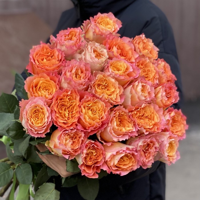 Роза Фри Спирит 50 см