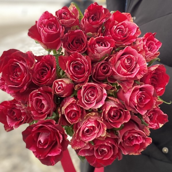 Роза Ред Сторм