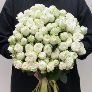 Кустовая пионовидная роза Мисс Бомбастик 40 см