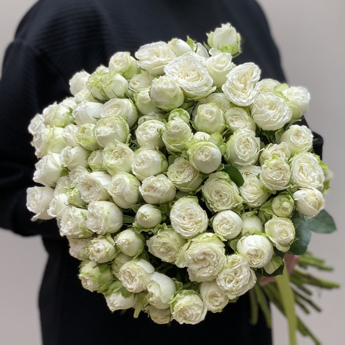 Кустовая пионовидная роза Мисс Бомбастик 40 см