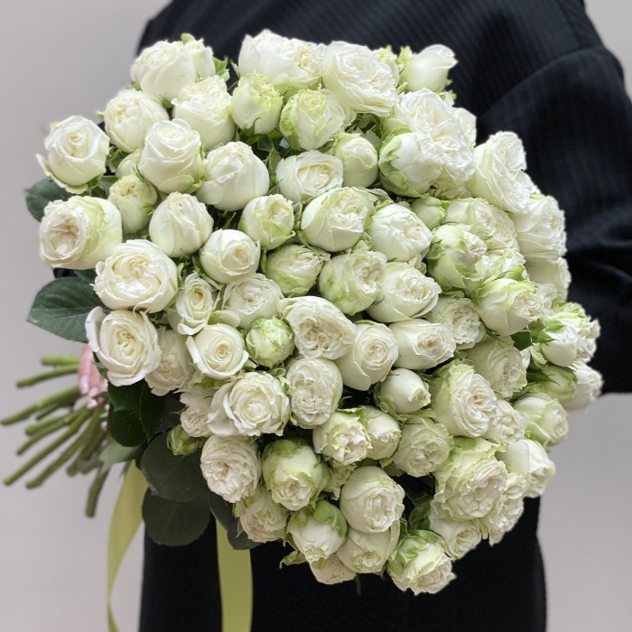 Кустовая пионовидная роза Мисс Бомбастик 40 см