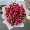 Букет из 25 кустовых роз Pink flash 40см