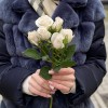 Кустовая роза Роял Порцелина 40 см