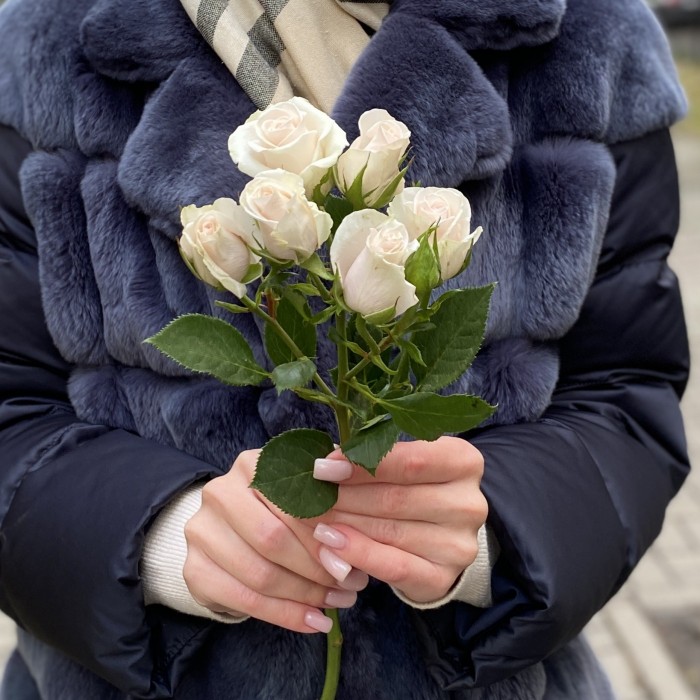 Кустовая роза Роял Порцелина 40 см