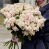 Кустовая роза Роял Порцелина 40 см