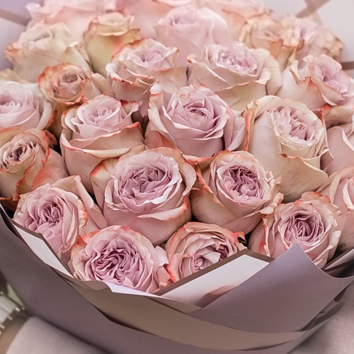 25 пионовидных роз Lilac Wonder