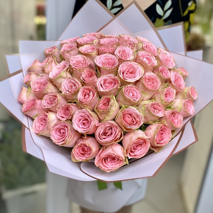 51 пионовидная роза Софи Лорен