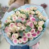 Дуэт пионовидных кустовых Джелато