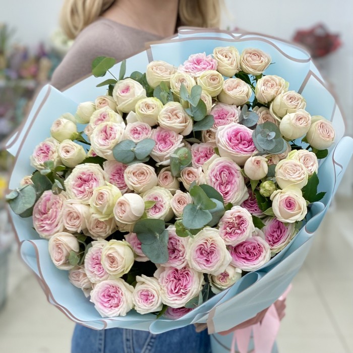 Дуэт пионовидных кустовых Джелато