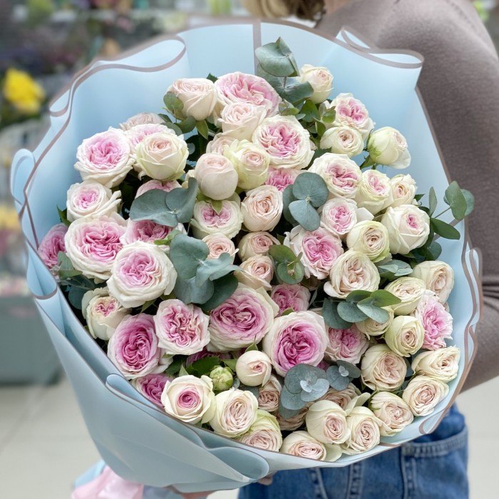 Дуэт пионовидных кустовых Джелато