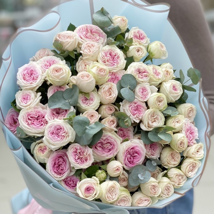 Дуэт пионовидных кустовых Джелато