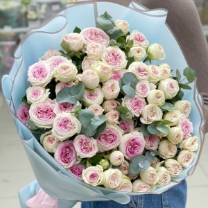 Дуэт пионовидных кустовых Джелато