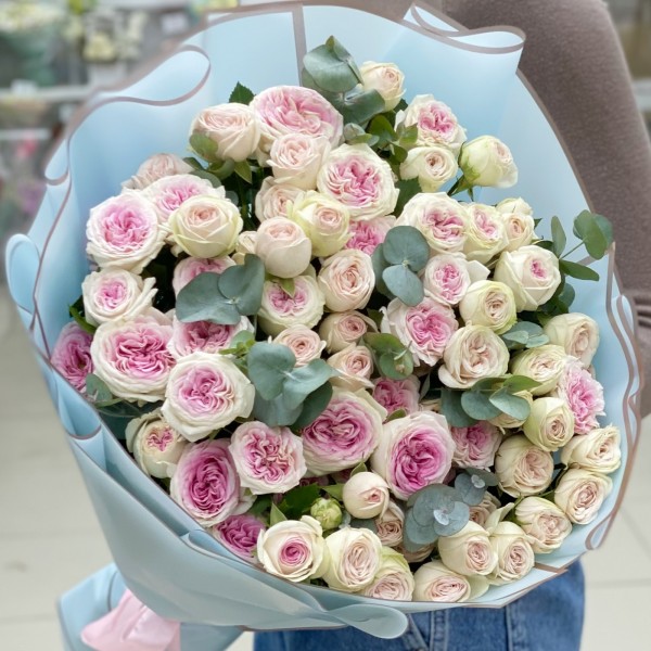 Дуэт пионовидных кустовых Джелато