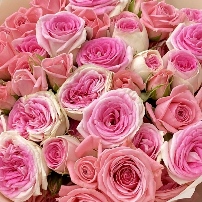 Дуэт розовых роз