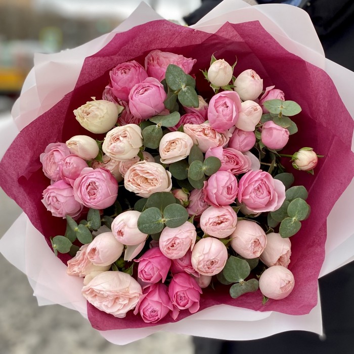 Пионовидные розы Сильва Пинк и Мансфилд Парк