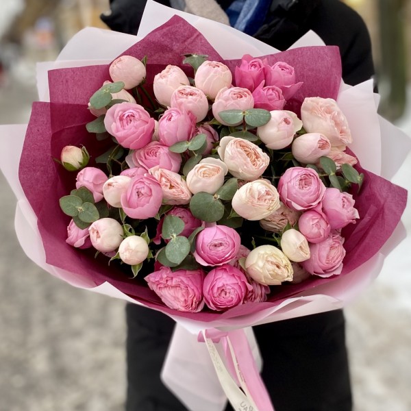 Пионовидные розы Сильва Пинк и Мансфилд Парк