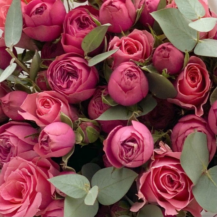 Яркий букет из кустовых пионовидных роз