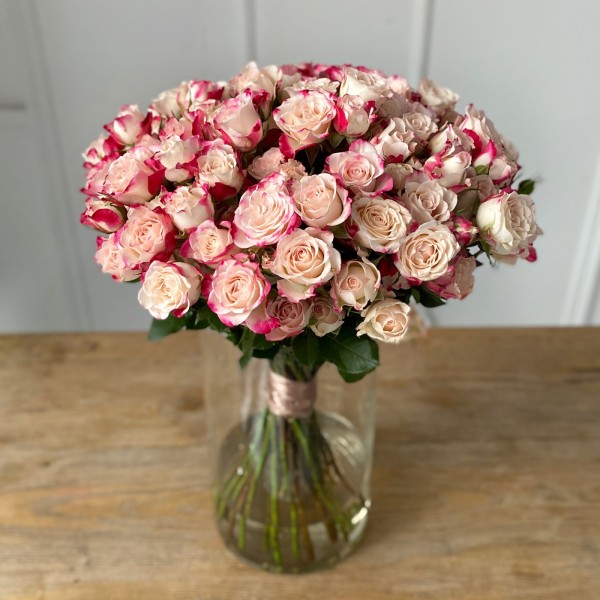 Роза Рефлекс